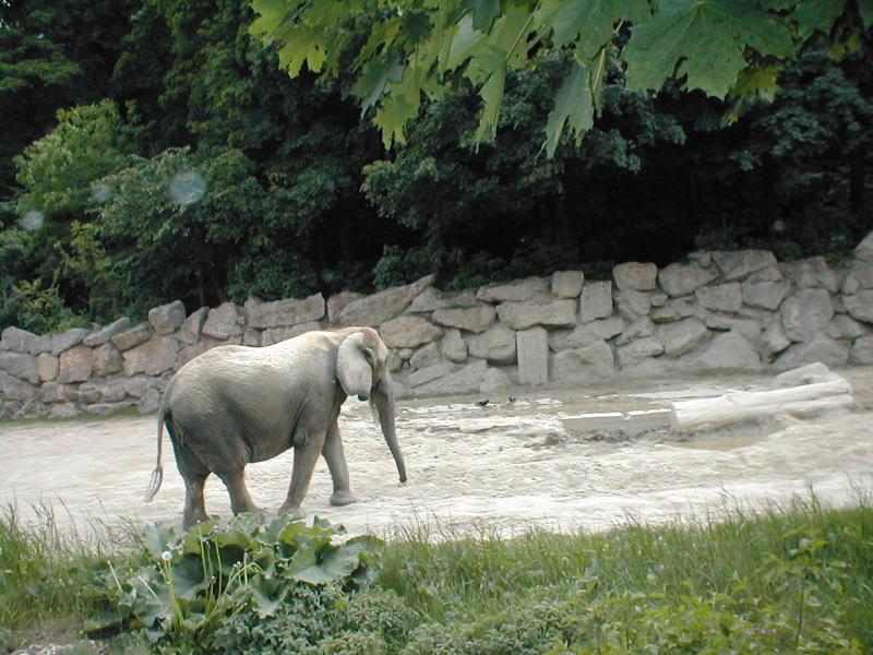 Vienna Zoo