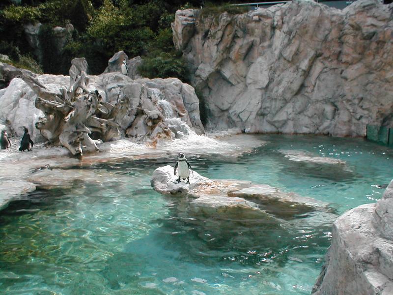 Vienna Zoo