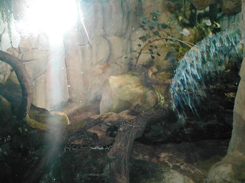 Vienna Zoo