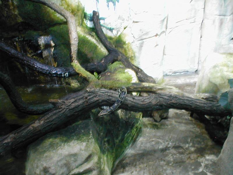 Vienna Zoo