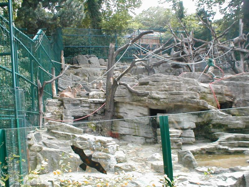 Vienna Zoo