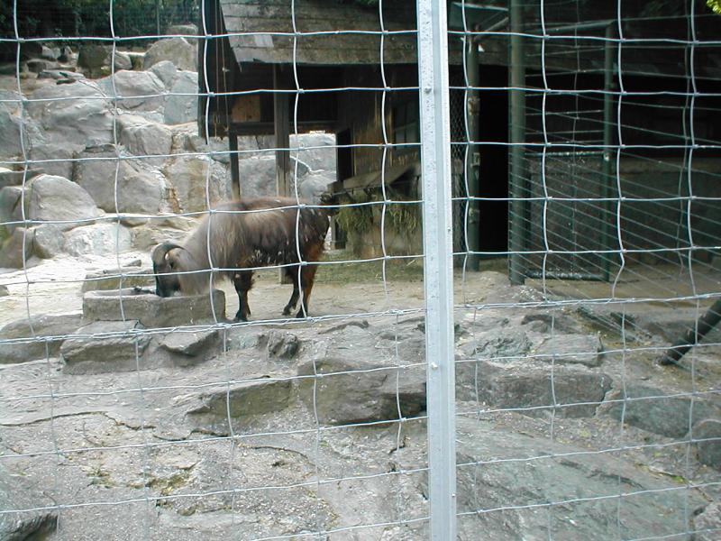 Vienna Zoo