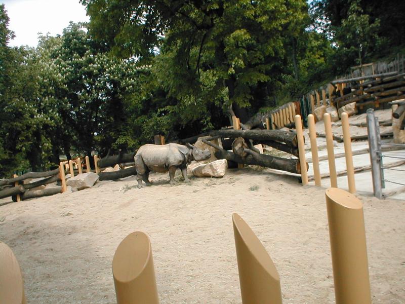 Vienna Zoo