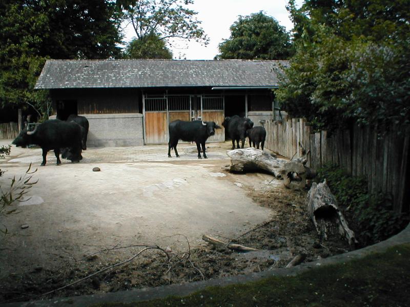 Vienna Zoo