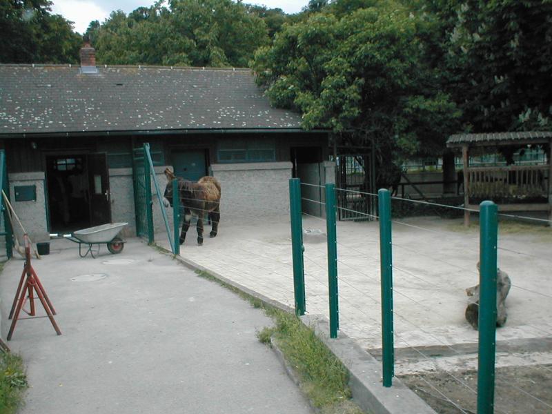 Vienna Zoo