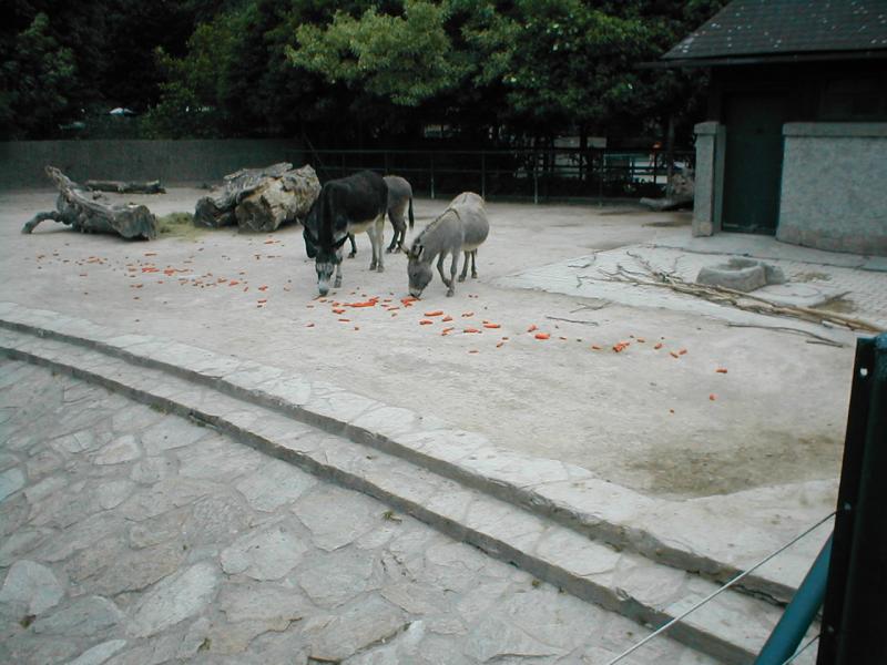 Vienna Zoo