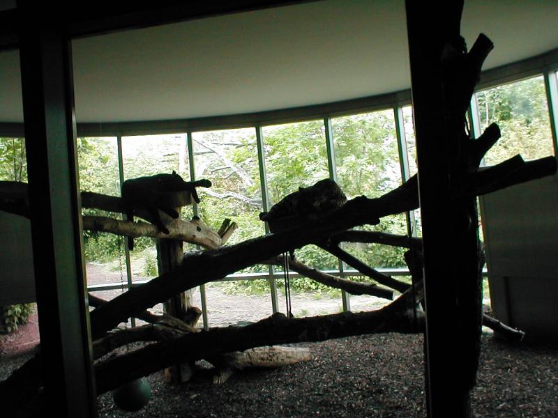 Vienna Zoo