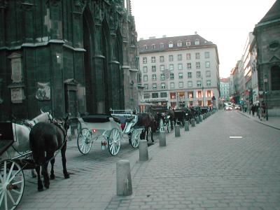 Horse Drawn Carriages