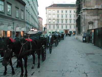 Horse Drawn Carriages