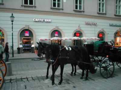 Horse Drawn Carriages