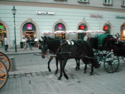 Horse Drawn Carriages