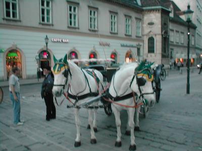Horse Drawn Carriages