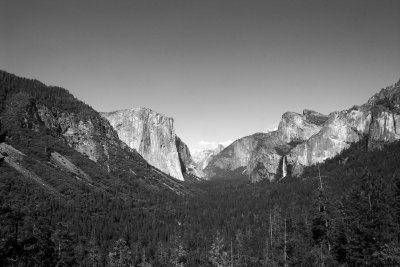 IMG_4218.jpg