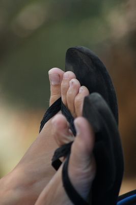 IMG_9241.JPG