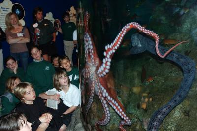 Seattle Aquarium