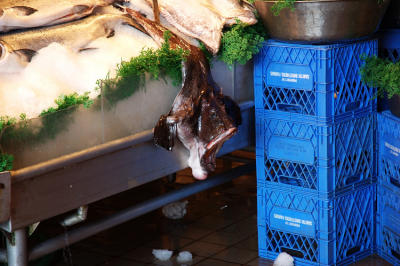2_DSC_0060.jpg : Pike Place Fish Market