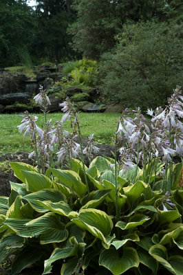 DSC_0013.jpg
