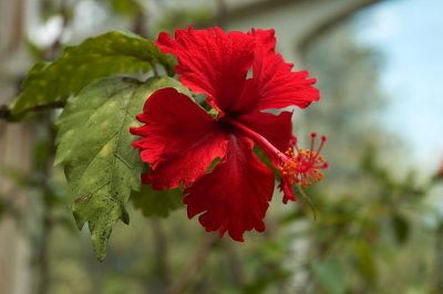 DSC_0068.jpg