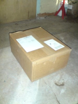 D208017.JPG
