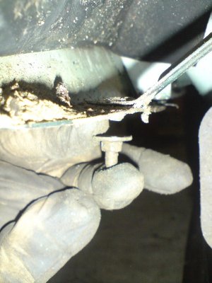 D208020.JPG