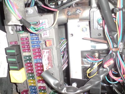 D208088.JPG