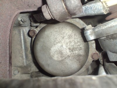 D208111.JPG