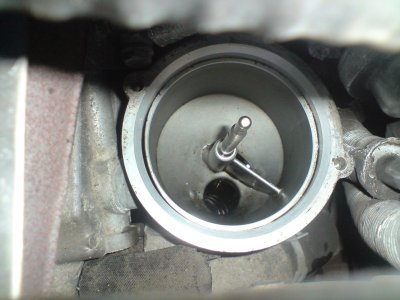 D208113.JPG