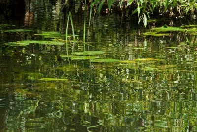 Impressions of Monet