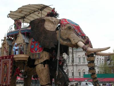 The elephant moves off