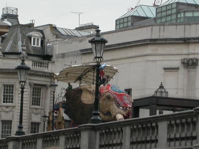 Entering Trafalgar Square