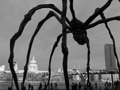 Giant spider invades South Bank!