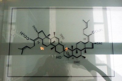 The dragon depicted with chemical formulae