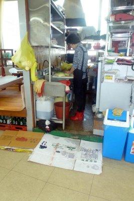 Busan, South Korea seafood market kitchen