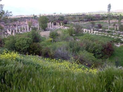 Aphrodisias_3