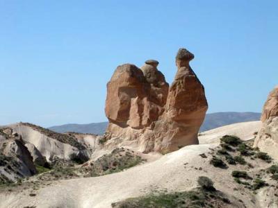 Cappadocia_35, camel
