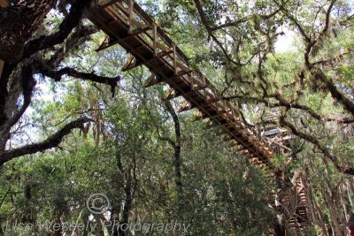 Canopy Walk