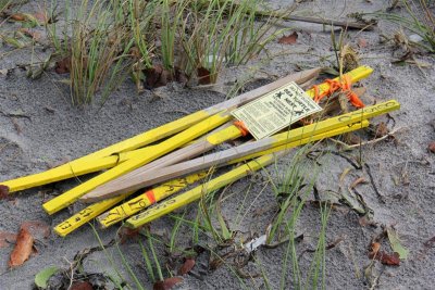 Turtle Nest Gone