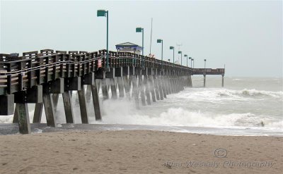 Sharky's Pier