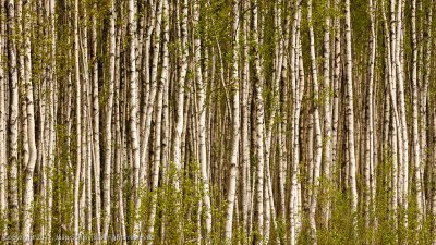 JS--20120506-0026.jpg