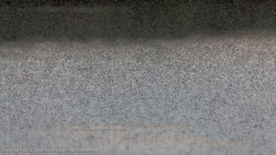 JS--20120508-0035.jpg