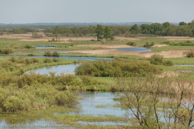 JS--20120509-0076.jpg