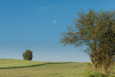 JS--20120510-0096.jpg