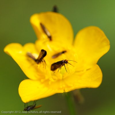 JS--20120511-0123.jpg