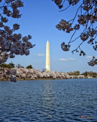 Washington Monument from the Tidal Basin (DS056)