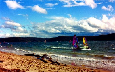 Windsurfers at Pittwater.jpg