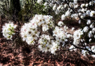 Early Signs of Spring