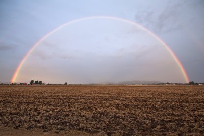 Monmouth Rainbow