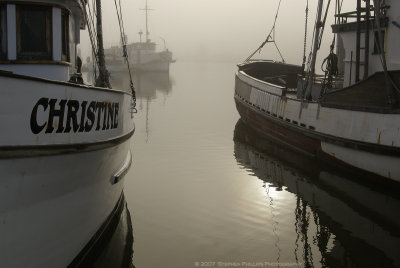 'Christine' on a Grey Morning