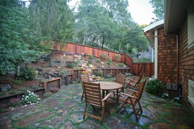 Garden - facing south
