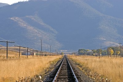 Rail Through Gazelle